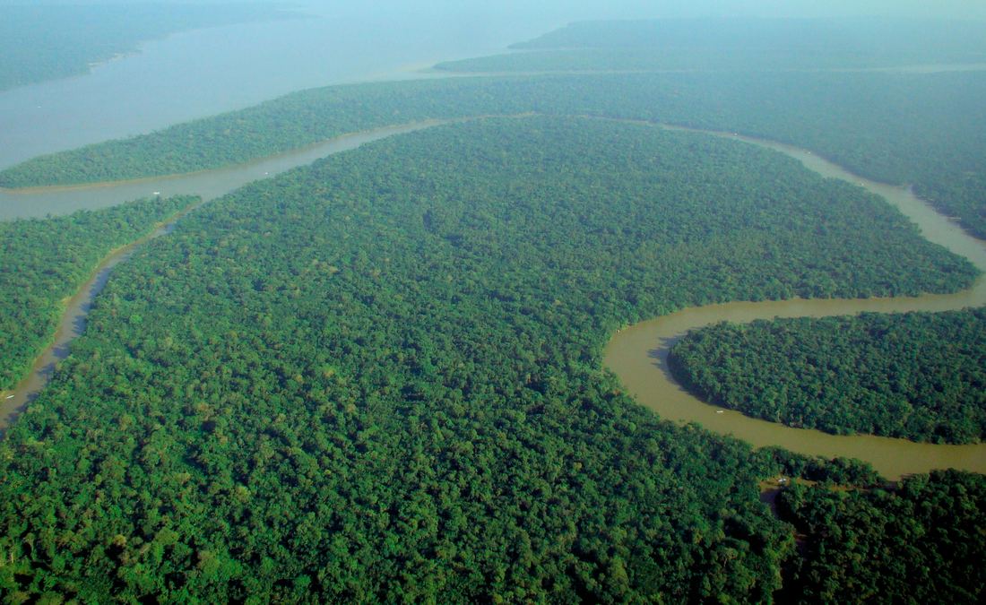 Dense green Amazon rainforest canopy seen from above