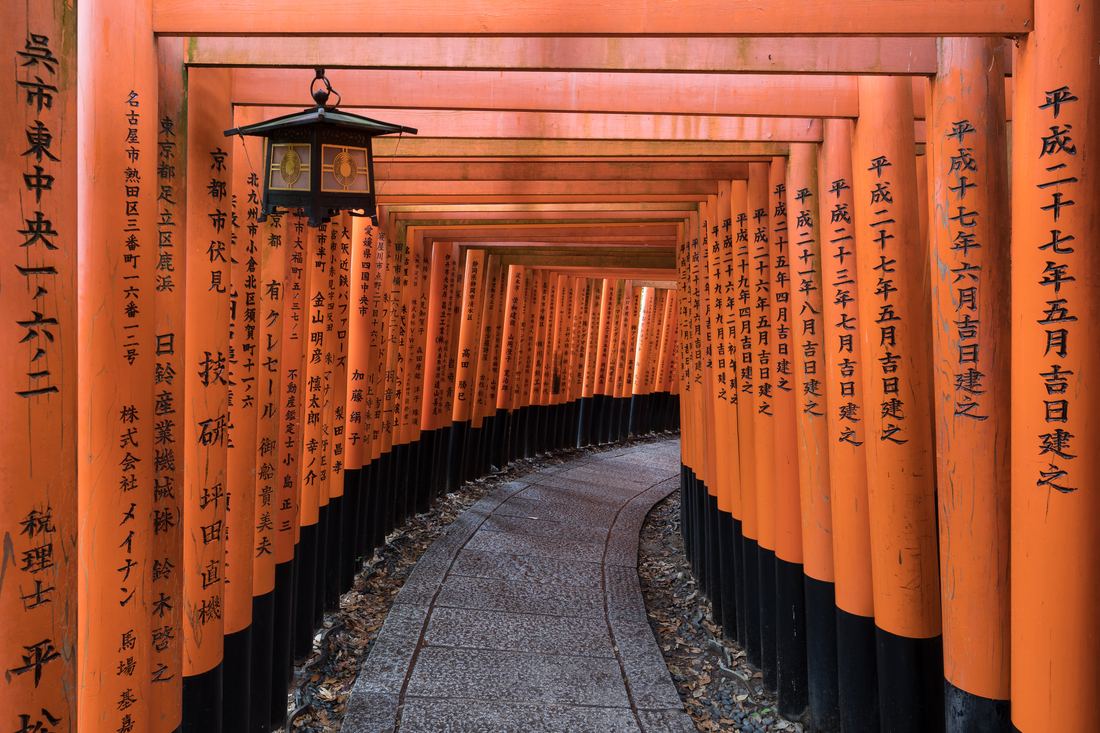A path lined with orange torii gates and a stone lantern at Fushimi Inari